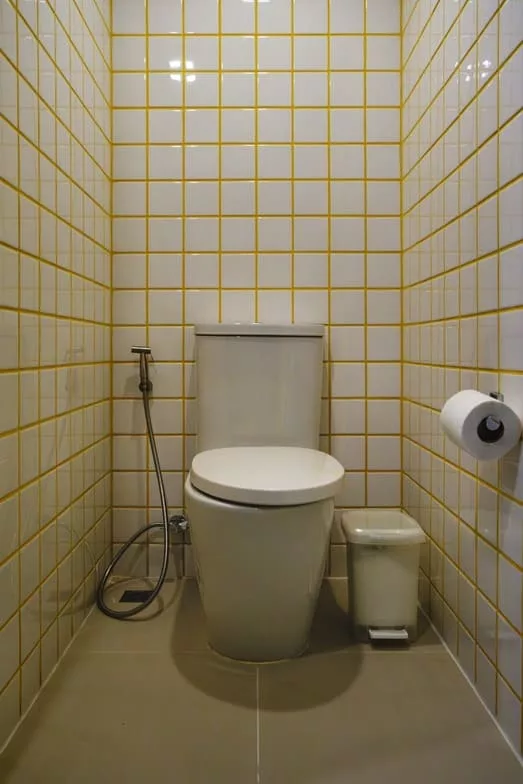 Toilet in the room