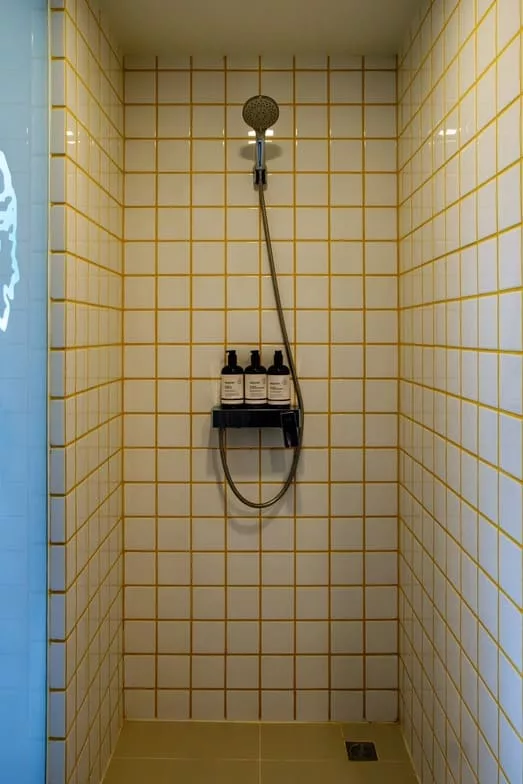 Shower area in room