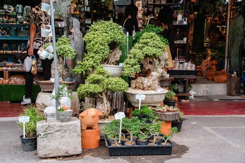 Plant pot store