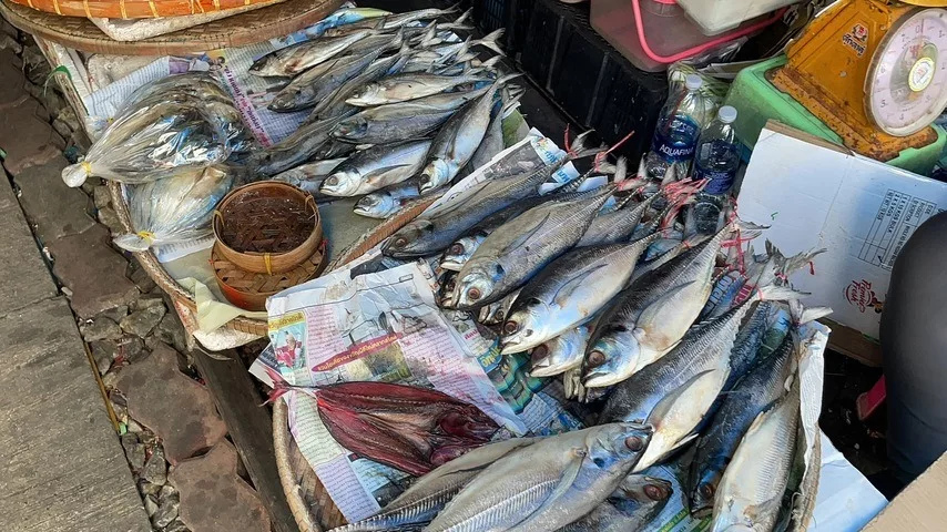 Fishmonger in the market