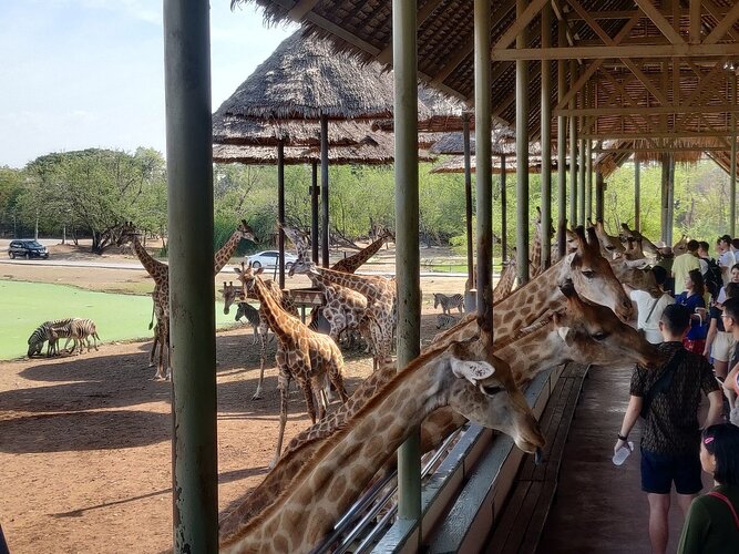 曼谷野生動物園