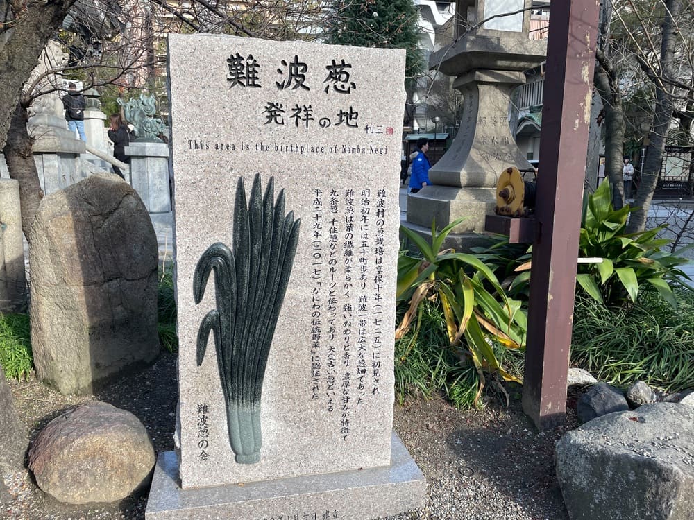 八阪神社難波蔥